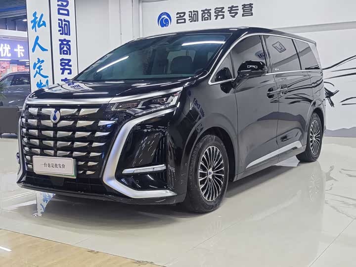 Фото 1 - Denza D9