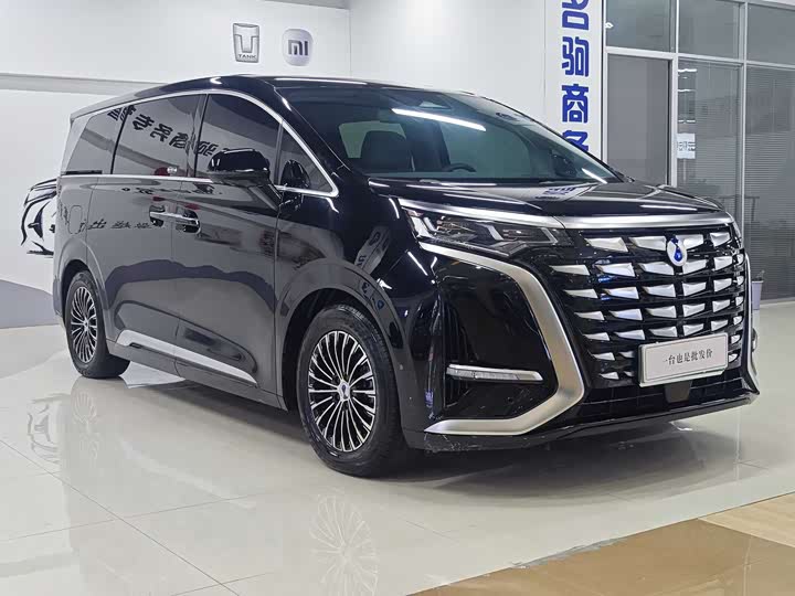 Фото 2 - Denza D9