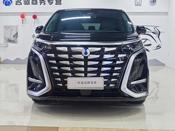 Фото 3 - Denza D9