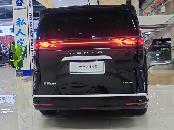 Фото 5 - Denza D9