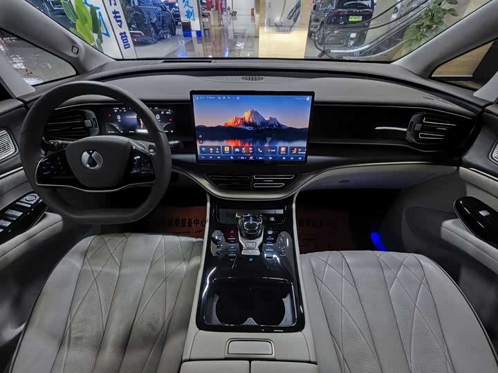 Фото 9 - Denza D9