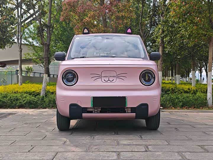Photo 2 - Geely Galaxy Panda Mini