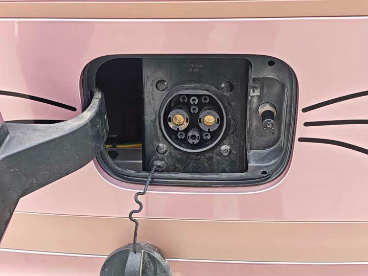 Photo 4 - Geely Galaxy Panda Mini