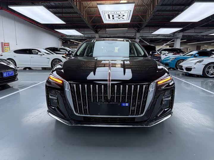 Фото 2 - Hongqi H5