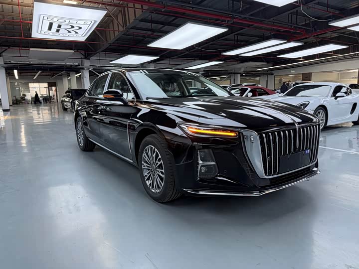 Фото 3 - Hongqi H5