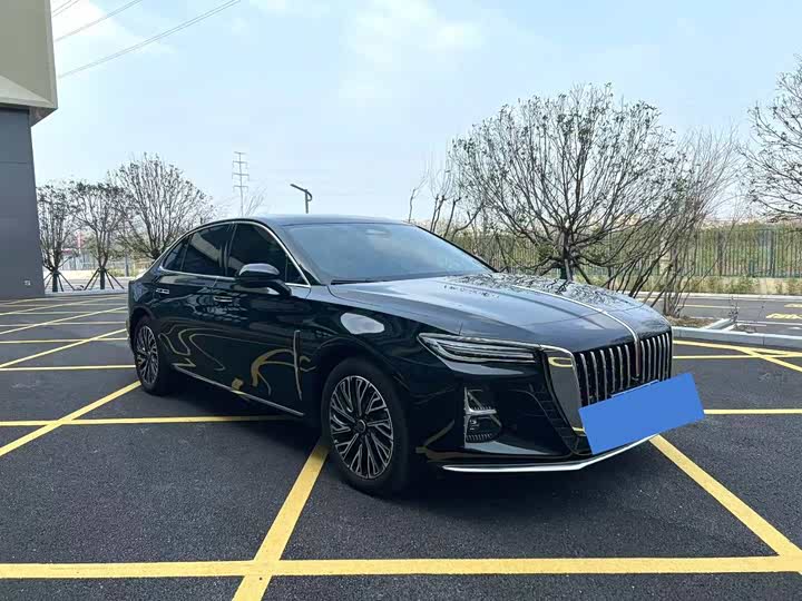 Фото 3 - Hongqi H5