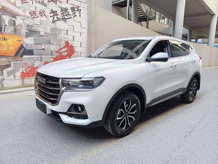 Фото 1 - Haval H6