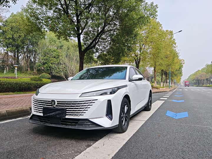 Фото 2 - Changan Yida