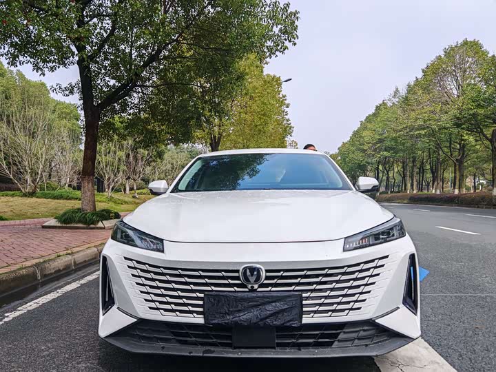 Фото 3 - Changan Yida