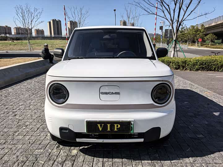 Фото 2 - Geely Galaxy Panda Mini