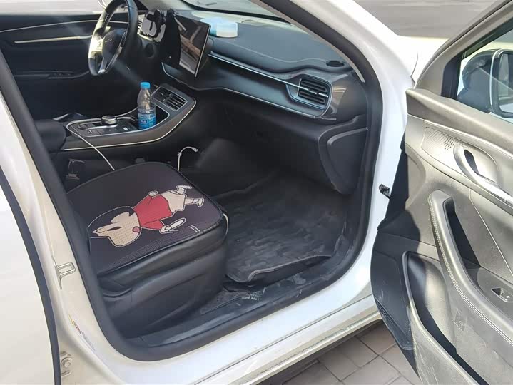 Фото 8 - BYD Destroyer 05