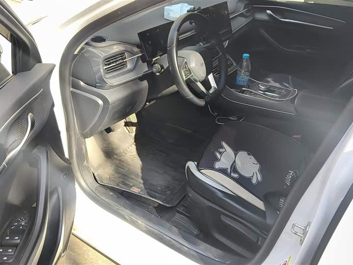 Фото 9 - BYD Destroyer 05