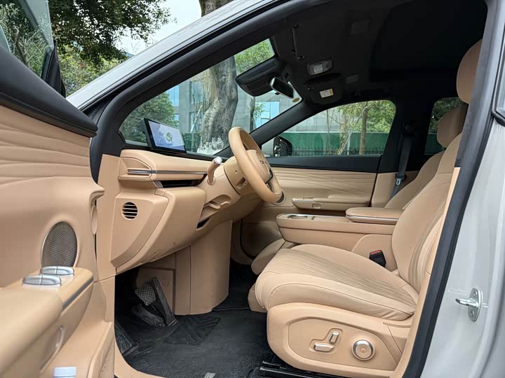 Фото 7 - Exeed Sterra ET