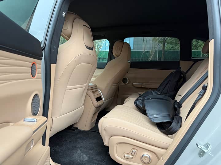 Фото 8 - Exeed Sterra ET