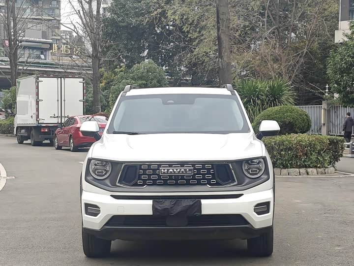 Фото 2 - Haval H-Dog