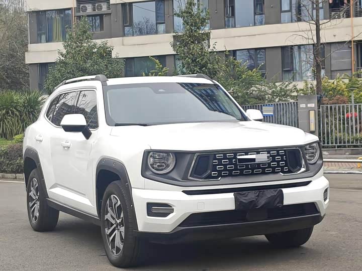 Фото 3 - Haval H-Dog