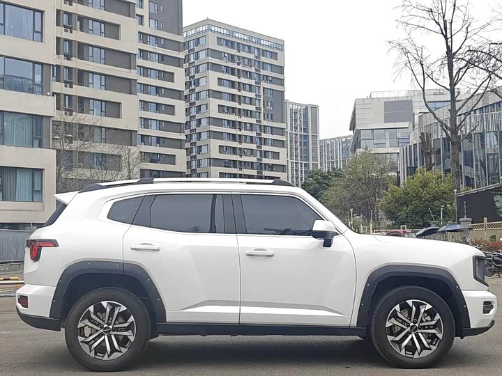 Фото 8 - Haval H-Dog