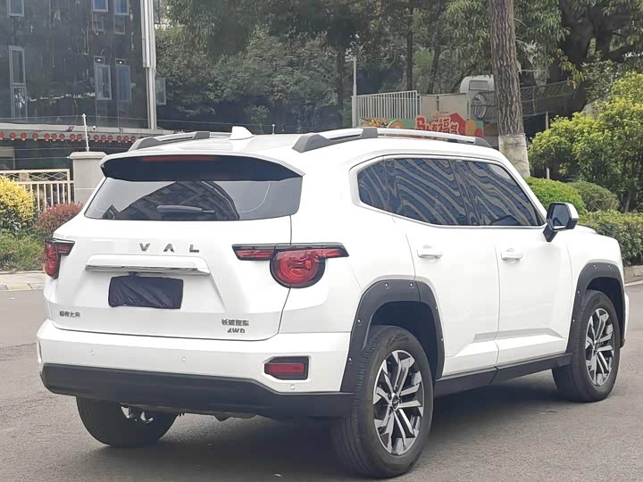 Фото 9 - Haval H-Dog