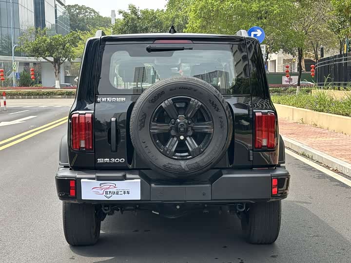 Фото 6 - Tank 300