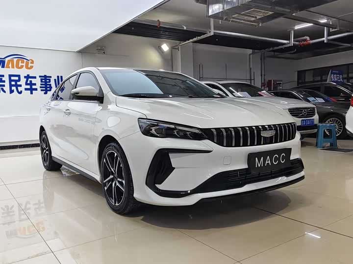 Фото 3 - Geely Binrui