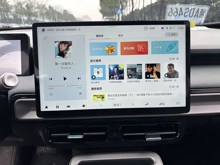 Фото 5 - GAC Aion Y