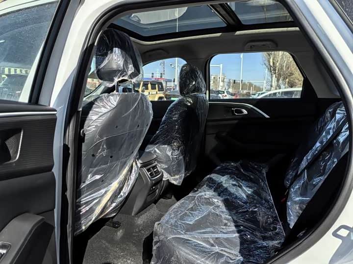 Фото 3 - Haval Ruge Max