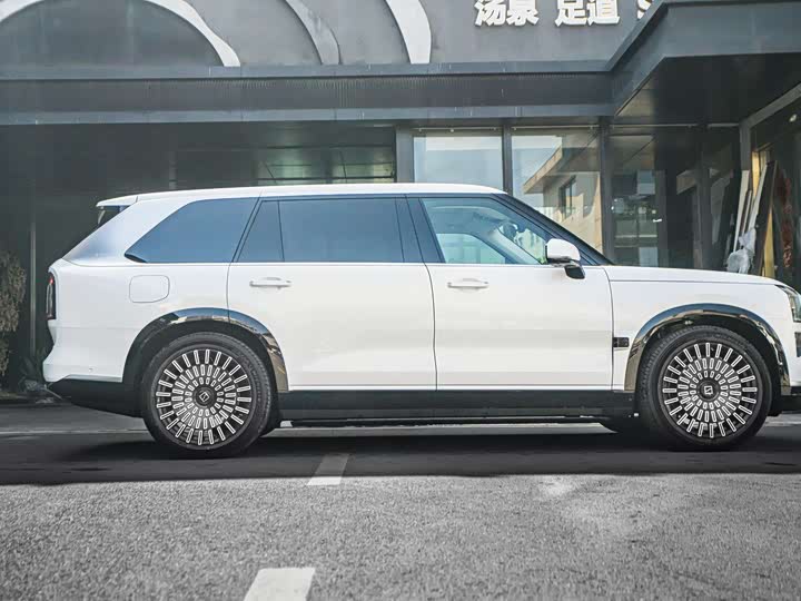 Фото 3 - Zeekr 9X