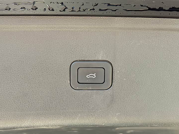 Фото 6 - Hongqi HS5