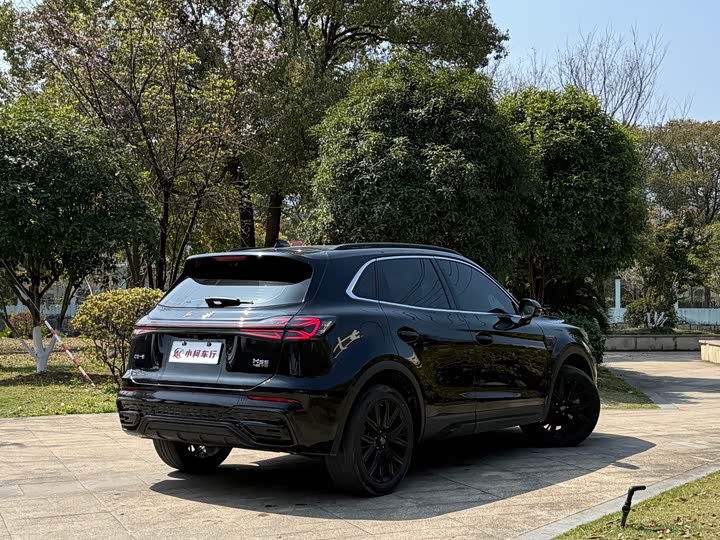 Фото 7 - Hongqi HS5