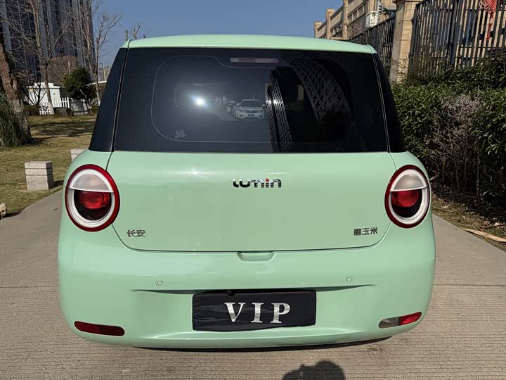 Фото 9 - Changan Qiyuan (Nevo) Lumin