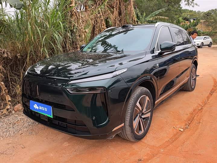 Фото 1 - Wey Lanshan