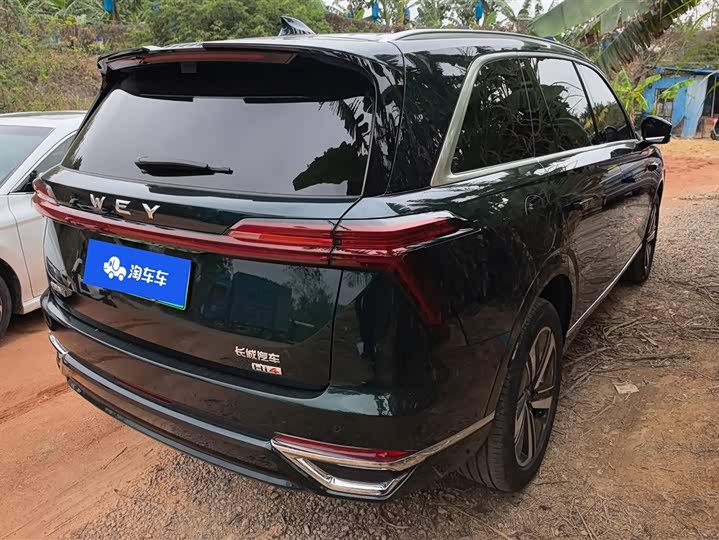 Фото 3 - Wey Lanshan