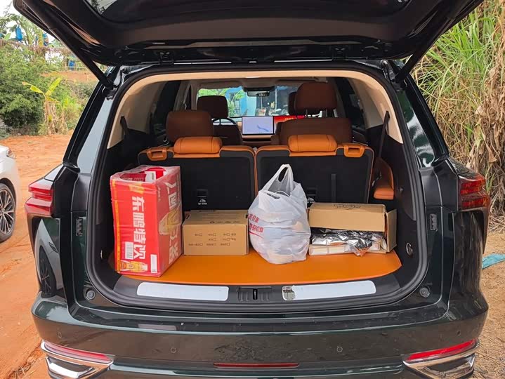 Фото 4 - Wey Lanshan