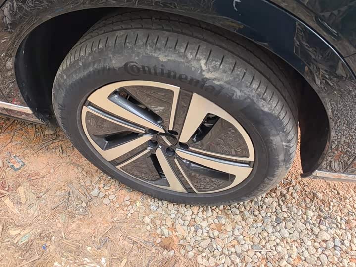 Фото 6 - Wey Lanshan