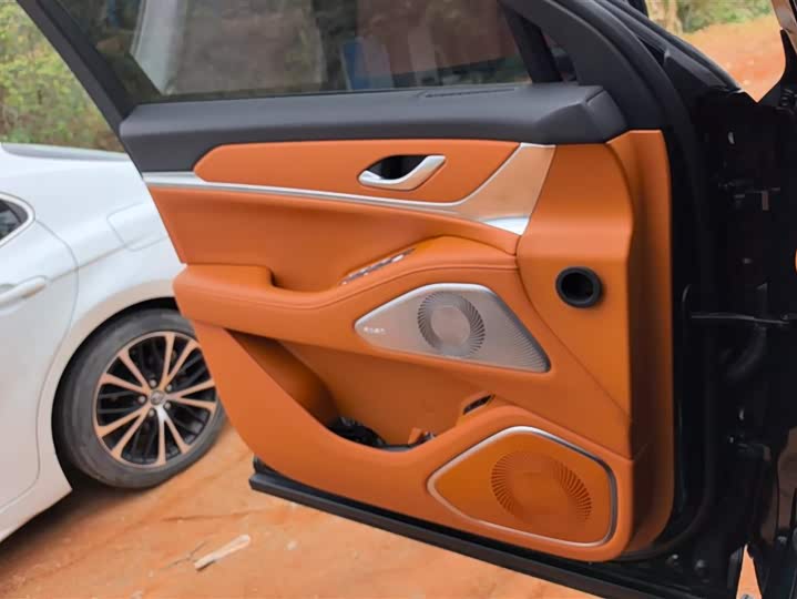 Фото 7 - Wey Lanshan