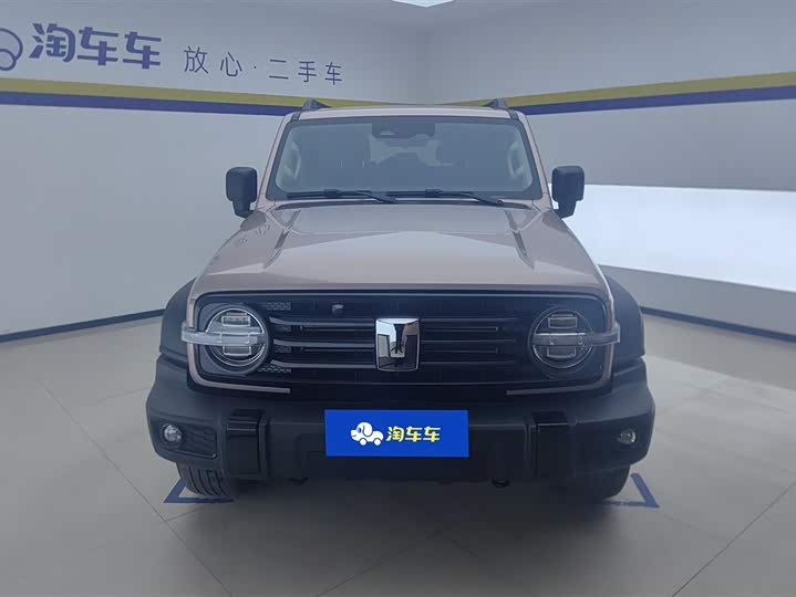 Фото 2 - Tank 300