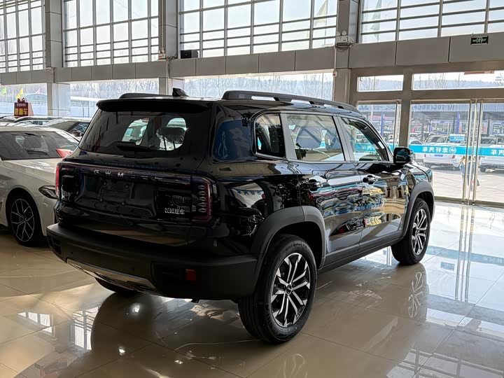 Фото 2 - Haval Dargo