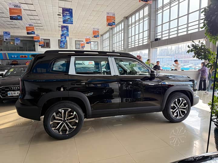 Фото 3 - Haval Dargo