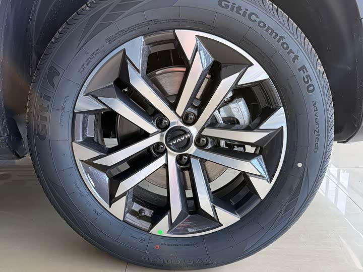 Фото 4 - Haval Dargo