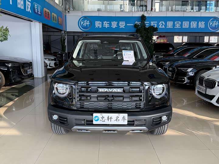 Фото 7 - Haval Dargo