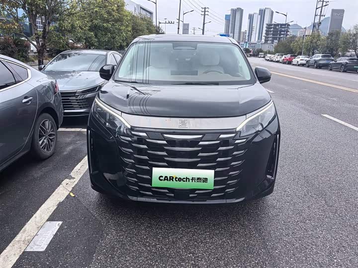 Фото 2 - BYD Xia