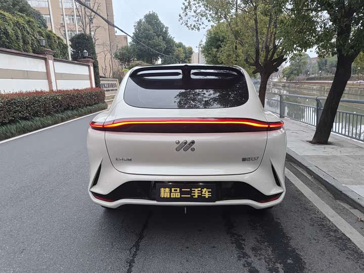 Photo 8 - IM motors LS7