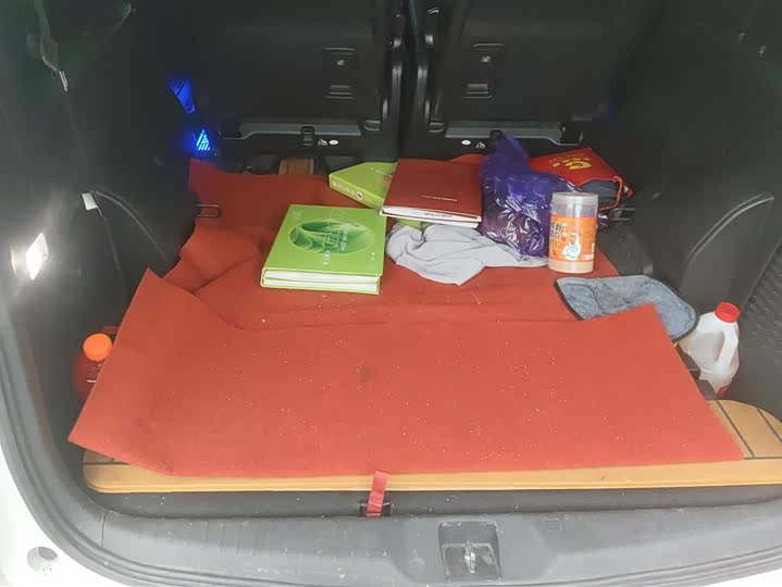 Фото 4 - Honda Elysion