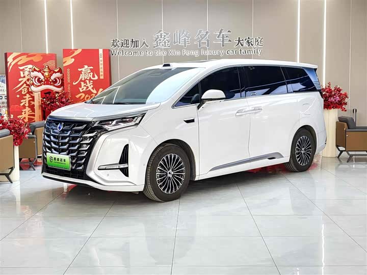 Фото 1 - Denza D9