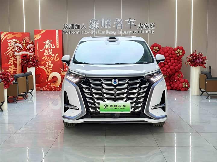 Фото 2 - Denza D9