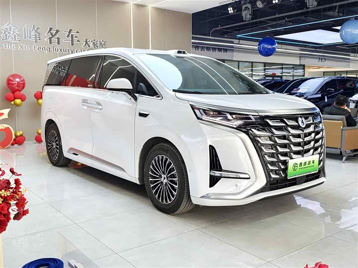 Фото 3 - Denza D9