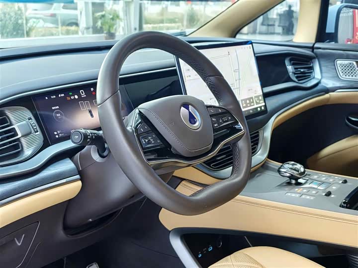 Фото 5 - Denza D9