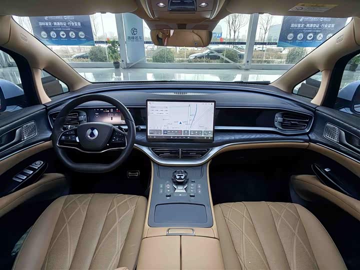 Фото 6 - Denza D9