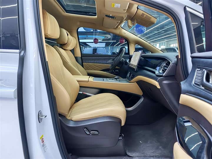 Фото 8 - Denza D9