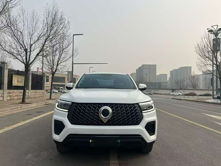 Фото 3 - Great Wall Pao